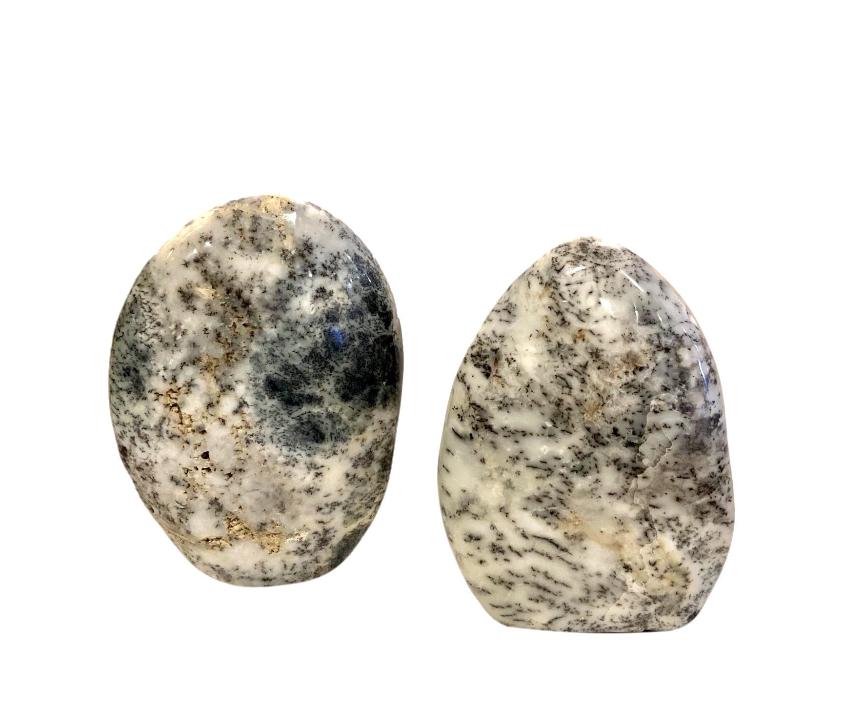 MINERALS & FOSSILS 2 — Accessory Preview Inc. MINERALS & FOSSILS 2 — Accessory Preview Inc.